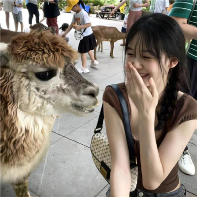 伴游招聘需要的条件是什么？